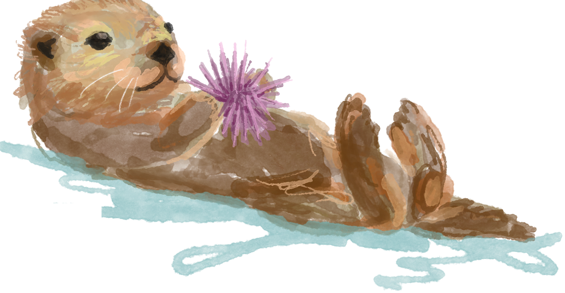 Watercolor sea otter holding a purple urchin