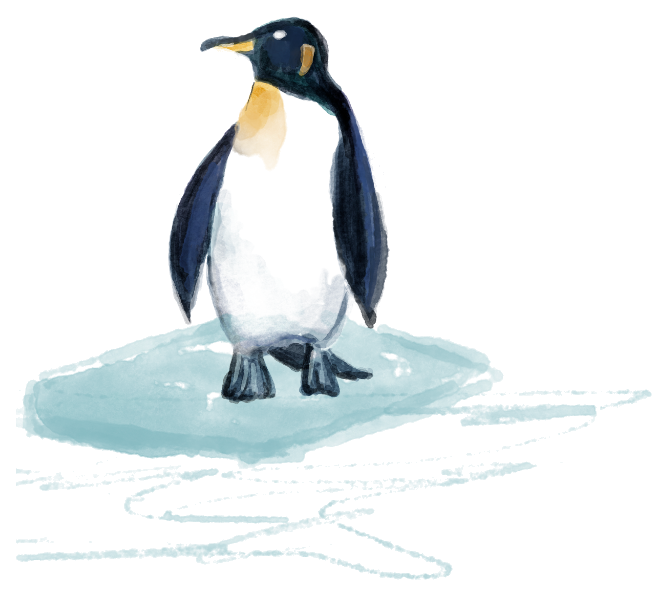 Watercolor penguin representing David